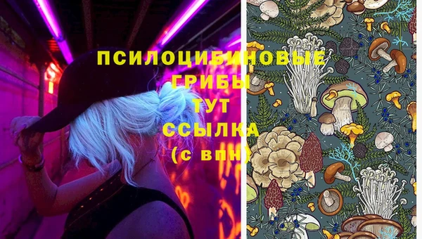 прущая мука Бородино