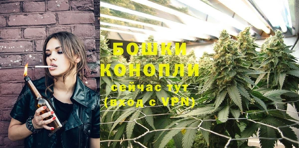 PSILOCYBIN Тихорецк