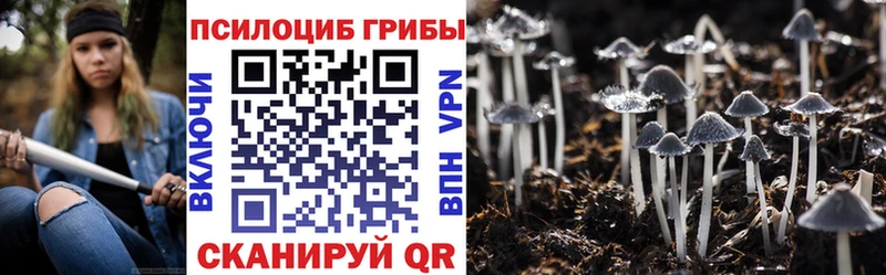 Галлюциногенные грибы Psilocybine cubensis  Волосово 